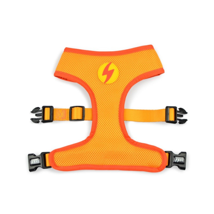 Ham reversibil pentru câini model BOOM, mărimea XL [2]