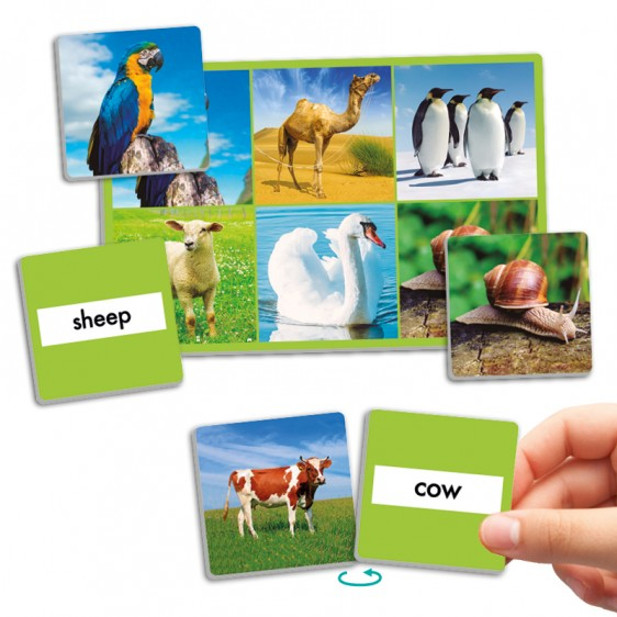 Joc loto cu 72 de animale [2]