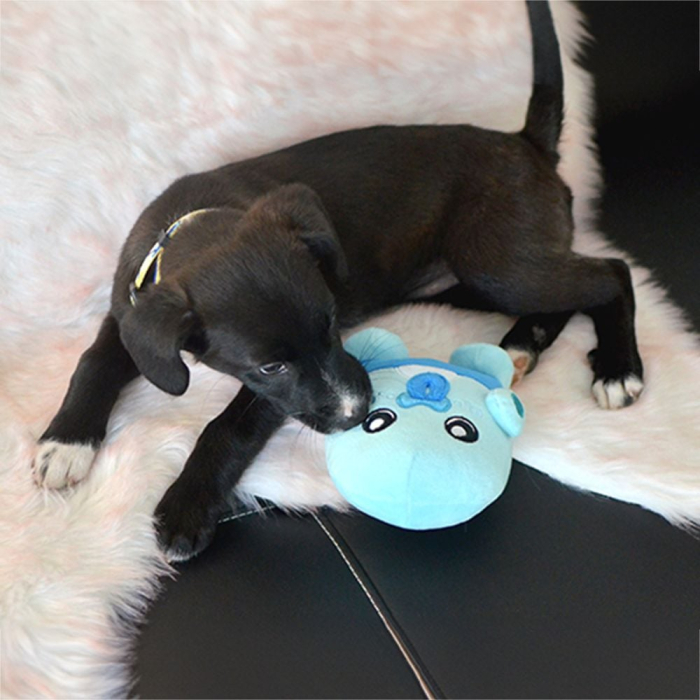 Jucărie din pluș pentru câine - ALBU [2]