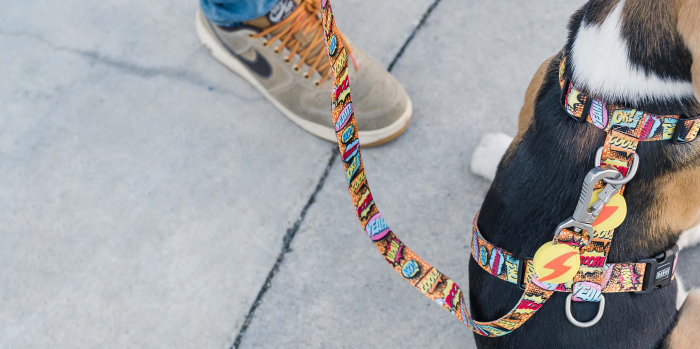 Lesă pentru câini model BOOM, 2 cm*120 cm [2]