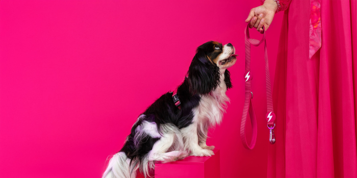 Lesă roz pentru câini, 2 cm*120 cm [2]