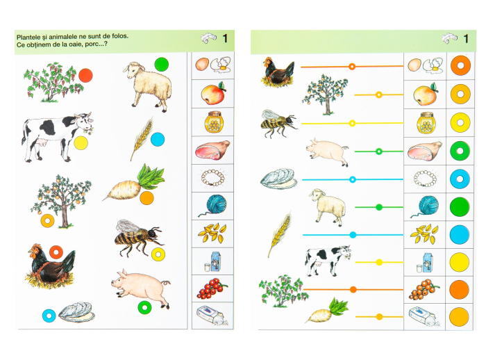 LOGICO PICCOLO - Pregătiți pentru școală. Privește în jur, descoperă și spune (5+) [2]