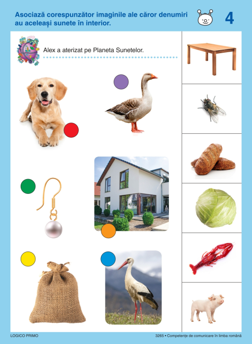 LOGICO PRIMO -  Mapă Competențe de comunicare în limba română (5+) [2]