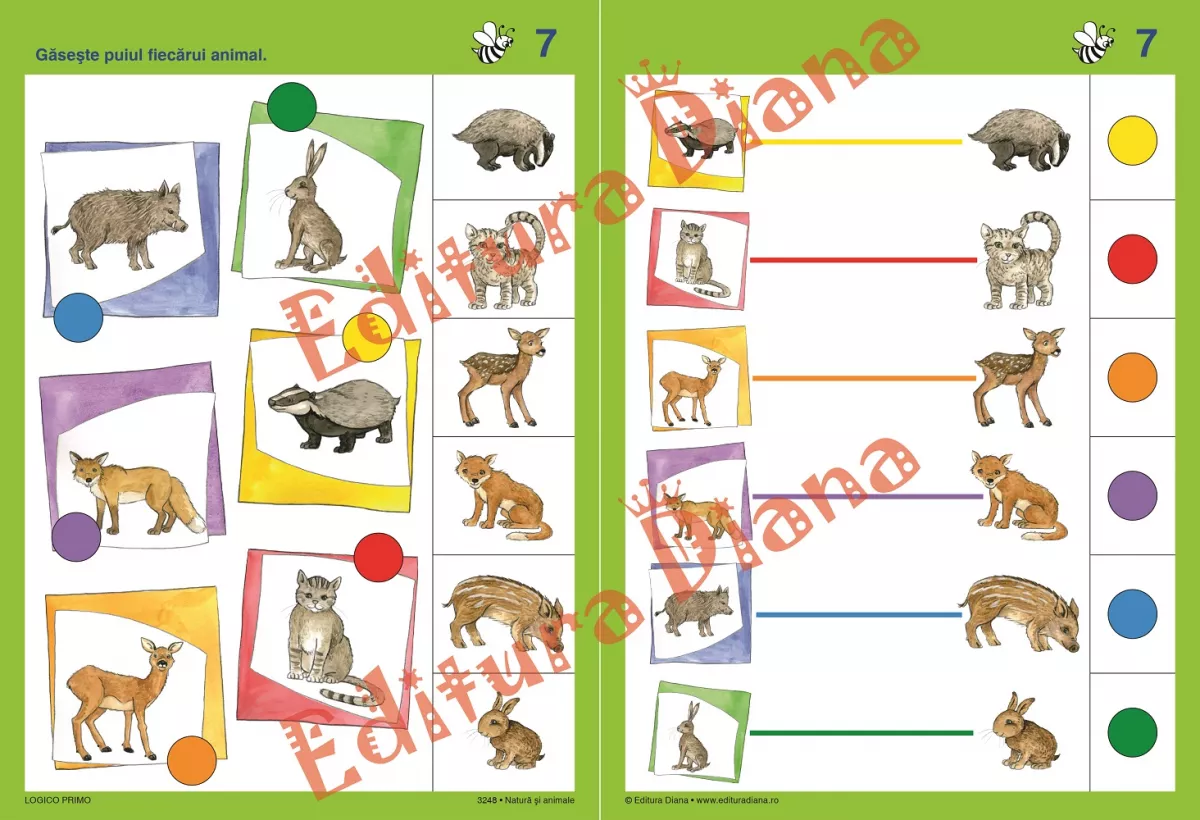 LOGICO PRIMO - Set Mapă + Tăbliță - Natura si Animale 3+ [2]