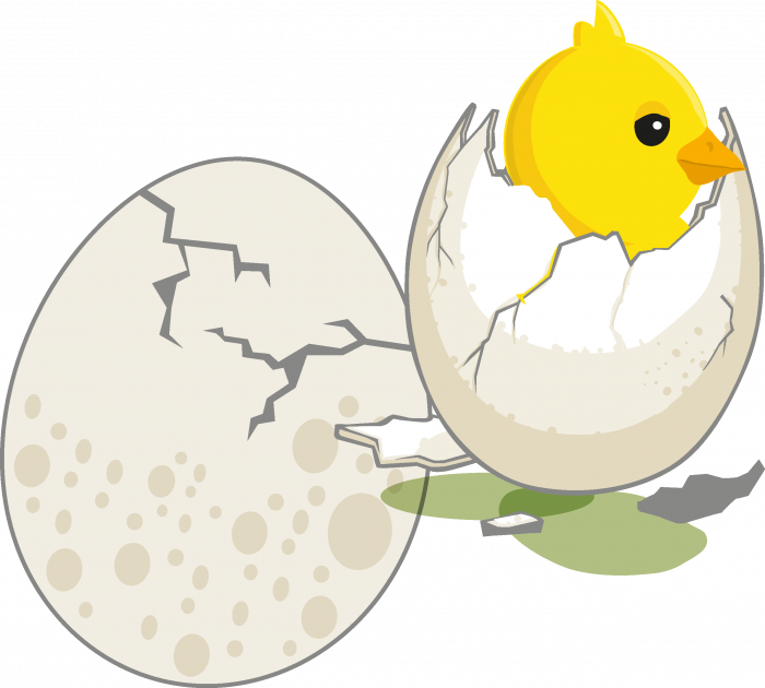 Mini ou surpriza - Puisor [2]