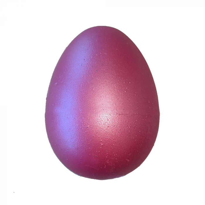 Mino ou surpriza- Pasarea flamingo [2]