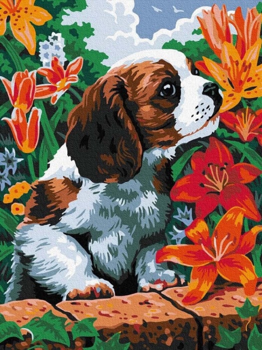 Pictura pe numere -Adulmecand aroma florilor, 30 x 40 cm