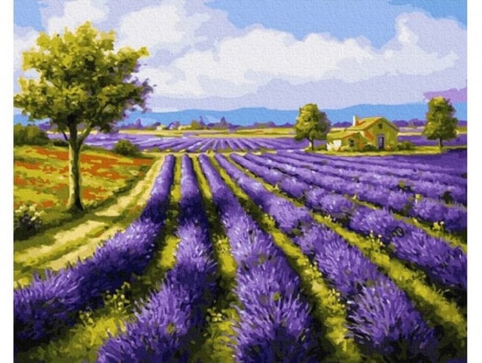 Pictura pe numere - Camp cu lavanda, 40 x 50 cm