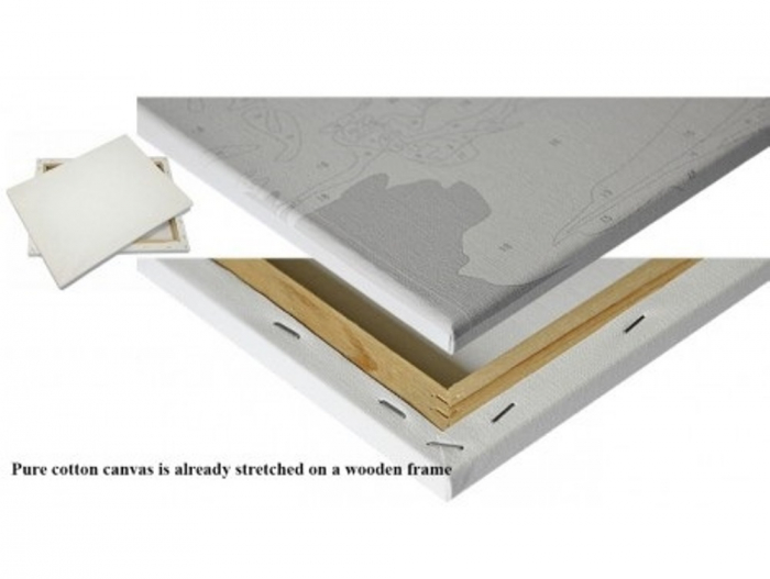 Pictura pe numere - Pisoias dragalas [3]