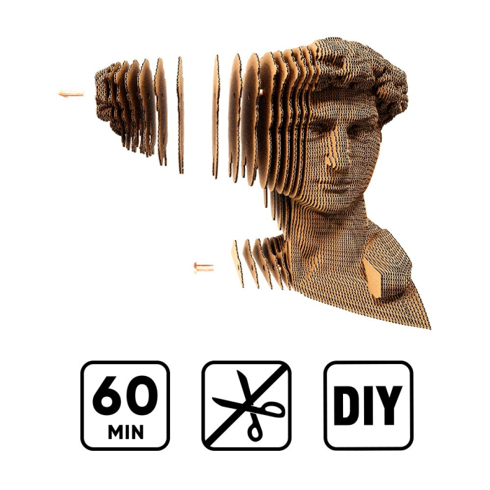 Puzzle 3D din carton - David [3]