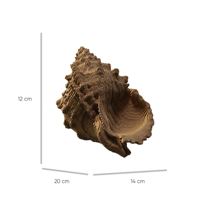 Puzzle 3D din carton - Scoică [2]