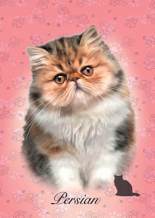 Puzzle cu 100 de piese in mini cutie tip cub - Pisica persana [2]