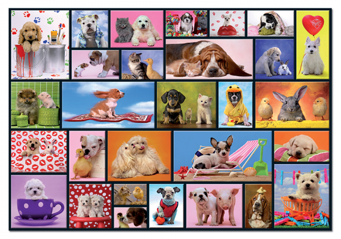 Puzzle cu 1000 de piese - Colaj cu animale [2]