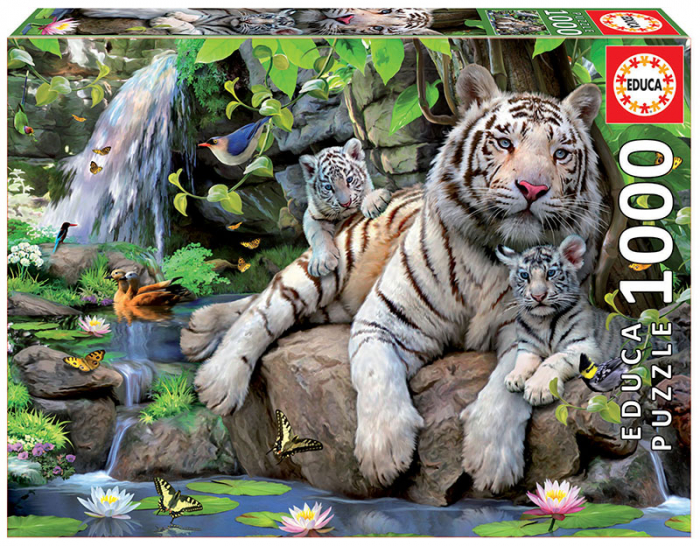 Puzzle cu 1000 de piese - Tigri bengalezi albi