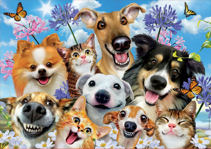 Puzzle cu 500 de piese - Selfie. Distracție sub soare [2]