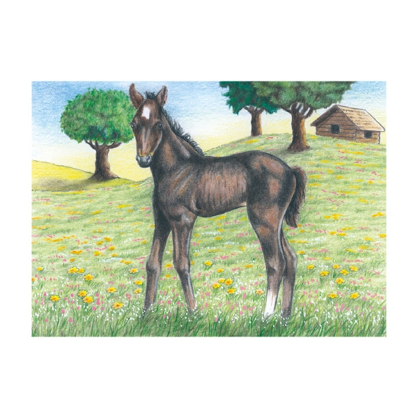 Puzzle din cuburi- Animale de la fermă [4]