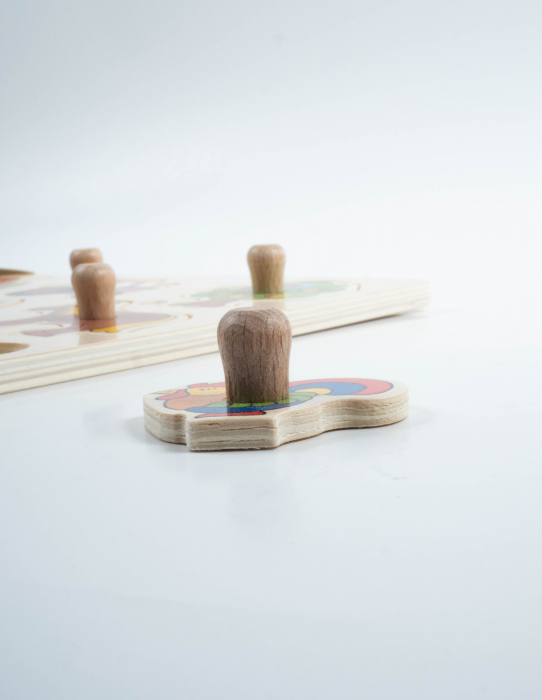 Puzzle incastrat - Animale domestice [4]