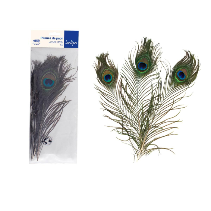 Set 3 pene de păun, 25 - 30 cm [2]