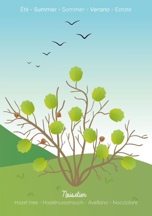 Set 576 stickere reutilizabile - Cele 4 anotimpuri [4]