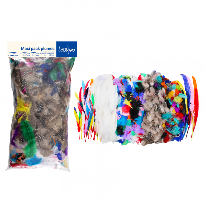 Set de 1000 de pene și fulgi în diverse culori [2]