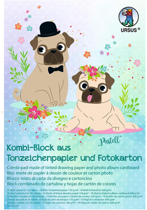 Set de 20 de coli de carton colorat combinat, 23 x 33 cm [2]