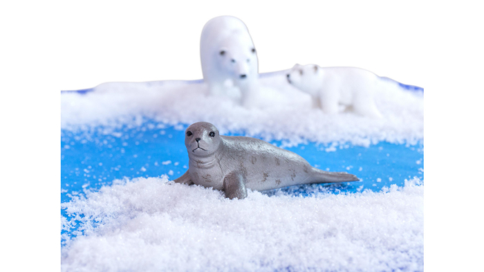 Set de 6 animale polare [2]