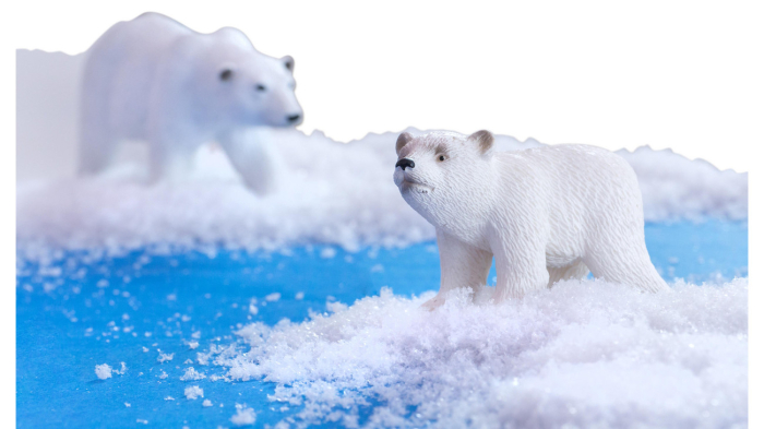 Set de 6 animale polare [4]