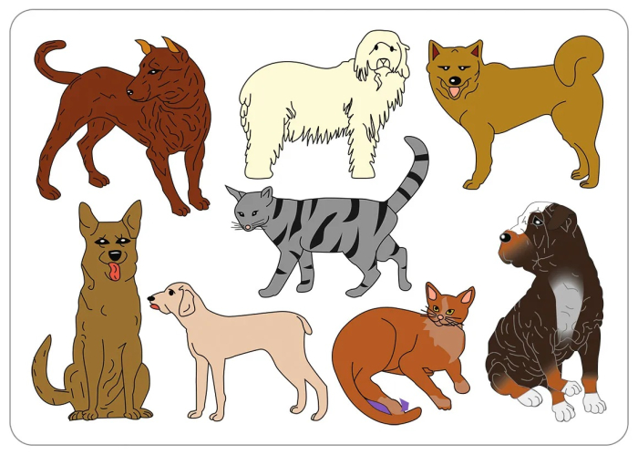 Set de 6 sabloane - Viata la ferma [6]