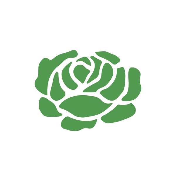 Set de 6 șabloane cu legume, 14 x 14 cm [2]