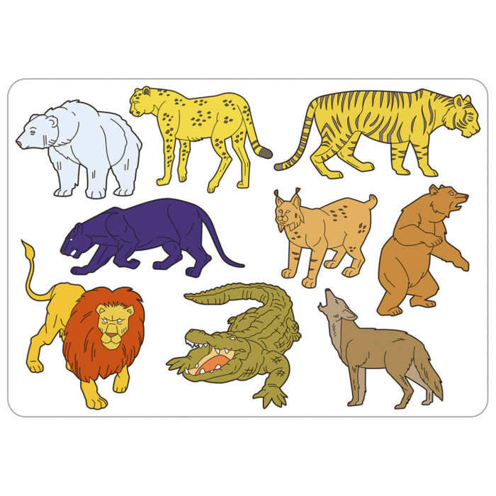 Set de 6 sabloane - Mijloace de transport [15]