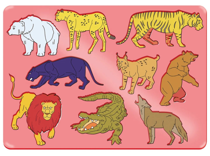 Set de 6 sabloane - Mijloace de transport [13]