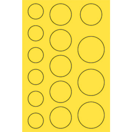 Set de creație - Coroniță de flori albe [4]