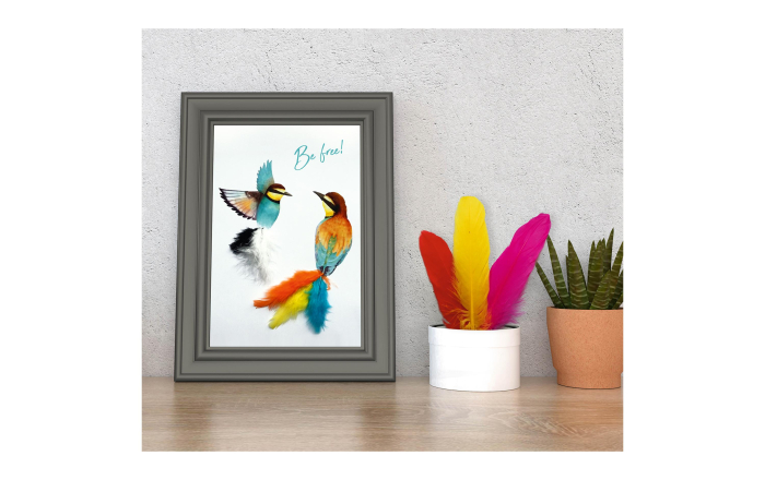 Set de pene naturale colorate [3]