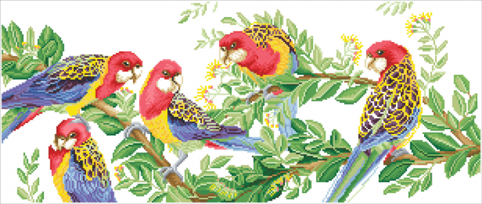 Tablou cu diamante - Papagali Rosella, 37 x 87 cm [2]