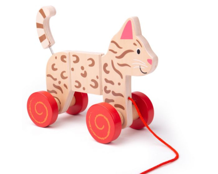 Jucarii outdoor - 11323 BB111 Jucărie de tras - Pisicuță Bigjigs