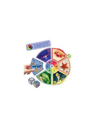 Jocuri de asociere si observare -  Joc de asociere cu 36 de carduri - Culori primare și secundare