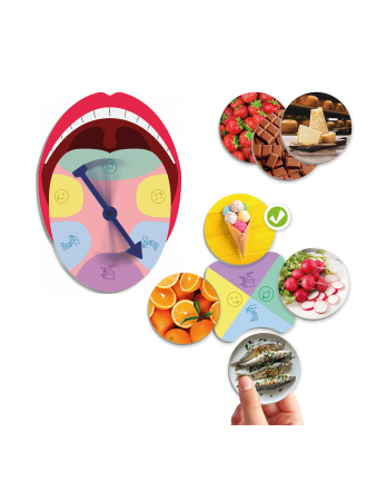 Stimulare olfactiva si gustativa -  Simțul gustativ și gusturile 