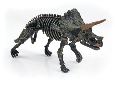 Cutia cu jucarii - Construiește-ți propriul dinozaur 3D