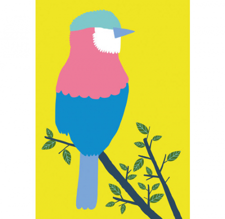 Cutie creativa - Decupati si lipiti [1]