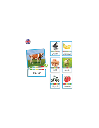 Jocuri cu cartonase si litere pentru copii - Învăț singur limba engleză - Substantive