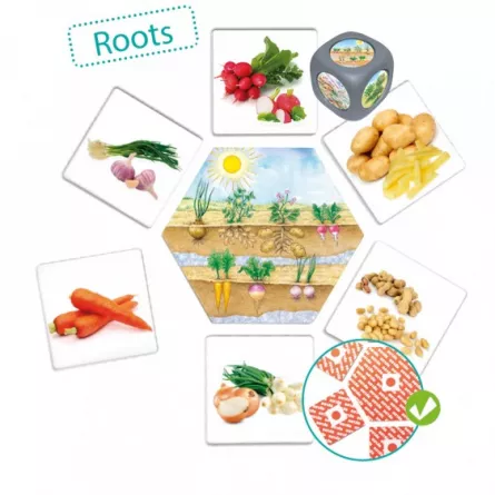 Jocuri logice pentru copii - Joc de asociere - De unde provin alimentele?