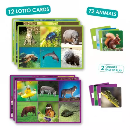 Jocuri logice pentru copii - Joc loto cu 72 de animale