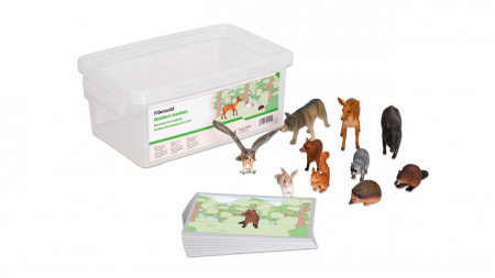 Jocuri logice pentru copii - Joc Montessori pentru dezvoltarea vocabularului - Animale salbatice