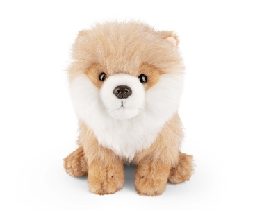 Jucarii de plus - Jucarie din plus - Pomeranian in sezut, 15 cm