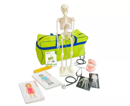 Explorarea mediului inconjurator - Kit de biologie - Structura corpului uman