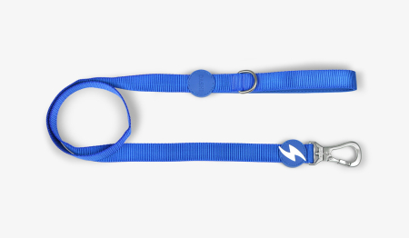 Catelul meu - Lesă albastră pentru câini, 2,5 cm*120 cm