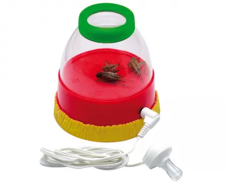 Explorarea mediului inconjurator - Observator pentru insecte cu lupă și cască audio