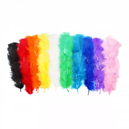 Margele, paiete si alte accesorii - Pene multicolore, 300 bucati, 25 gr