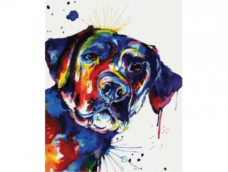 Pictura pe numere - Pictură pe numere - Câțel multicolor, 40 x 50 cm