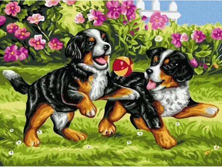 Pictura pe numere - Catelusi jucausi, 30 x 40 cm [0]